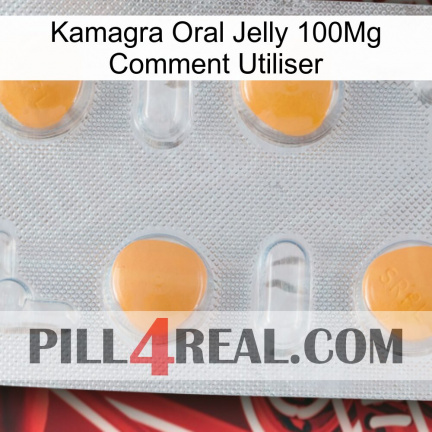 Kamagra Oral Jelly 100Mg How To Use 24